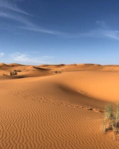 Desert Dunes