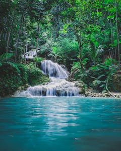 Waterfall in Jungle